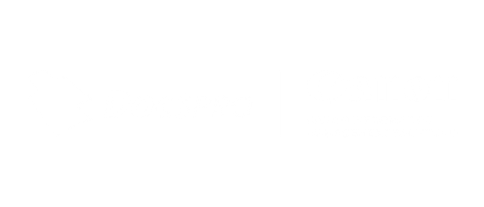 Logo Docspro